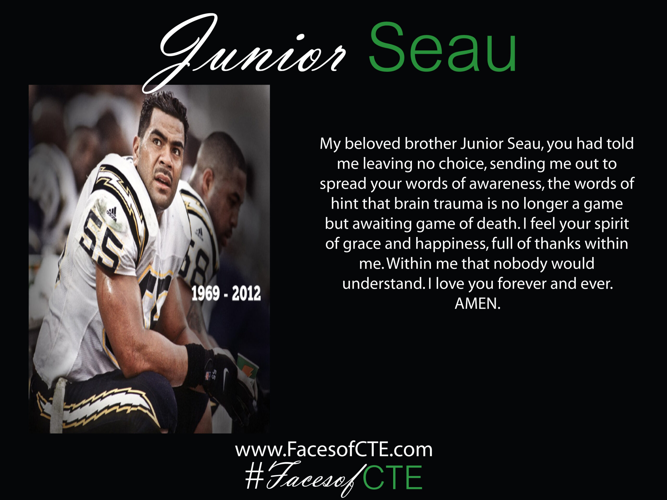 facesofcte.com (5)